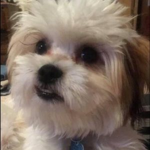 Meet your Posher, Fonda